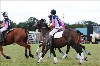 UKPA  NC Sat_1341